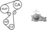 FORD 1753585 Water Pump & Timing Belt Kit